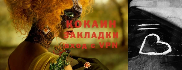 кокс Арсеньев