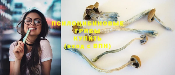 кокс Арсеньев