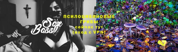 гидропоника Аркадак