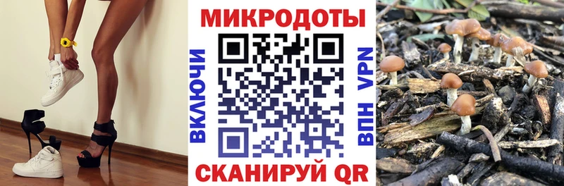 Галлюциногенные грибы GOLDEN TEACHER  Няндома 
